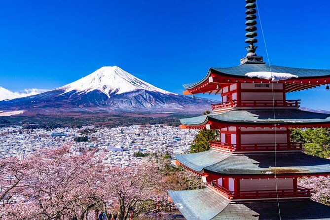 mt-fuji-5th-station-arakurayama-sengen-park-oshino-hakkai-tour
