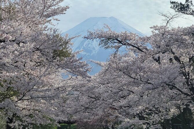 mt-fuji-and-lake-kawaguchi-day-trip-with-english-speaking-driver