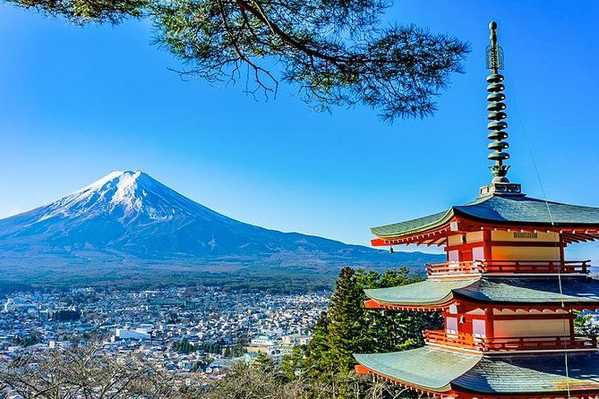 mt-fuji-area-tour-tokyo-dep-english-speaking-driver-no-guide