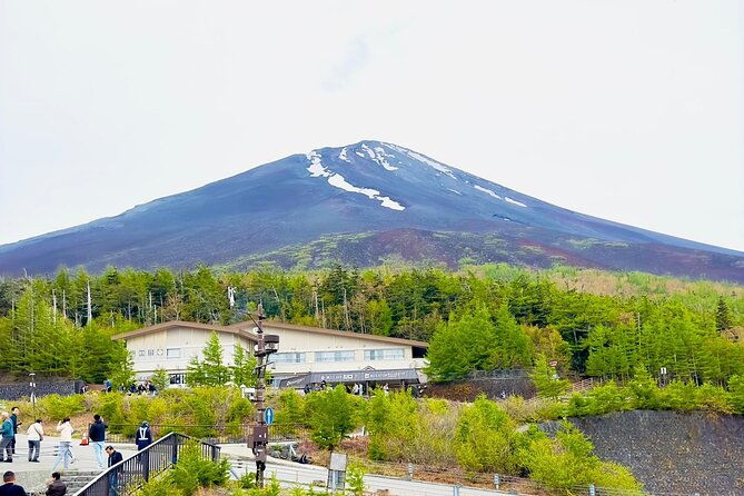 mt-fuji-cherry-blossom-one-day-private-tour-with-pickup