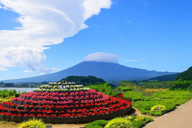mt-fuji-exploration-tour-with-free-japanese-kusa-mochi-from-tokyo