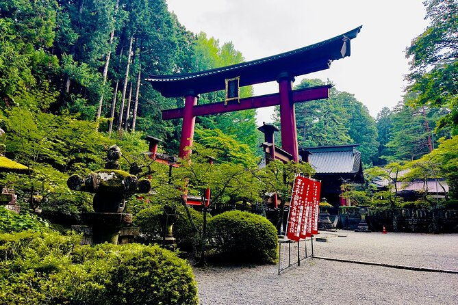 mt-fuji-hakone-cherry-blossom-private-one-day-tour