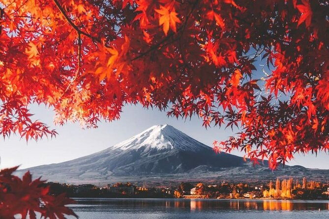 mt-fuji-lake-kawaguchiko-private-tour-with-pick-up