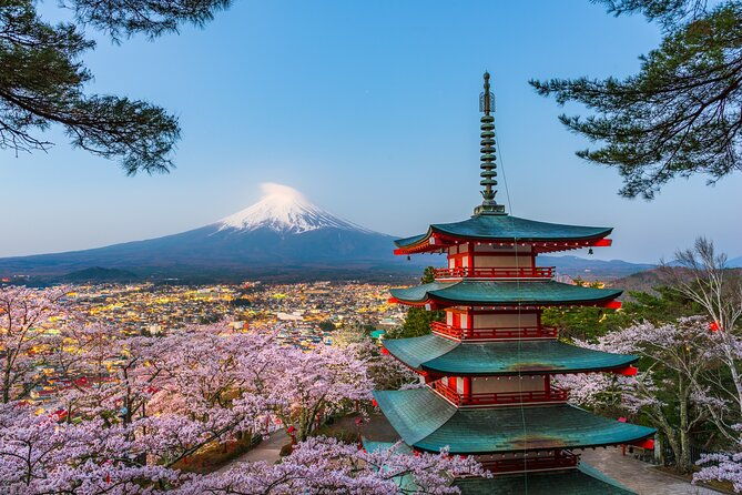 mt-fuji-or-hakone-private-sightseeing-day-trip-from-tokyo