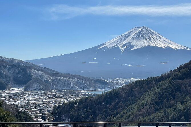 mt-fuji-panoramic-tour-w-hoto-lunch-jp-sake-onsen-tatto-ok