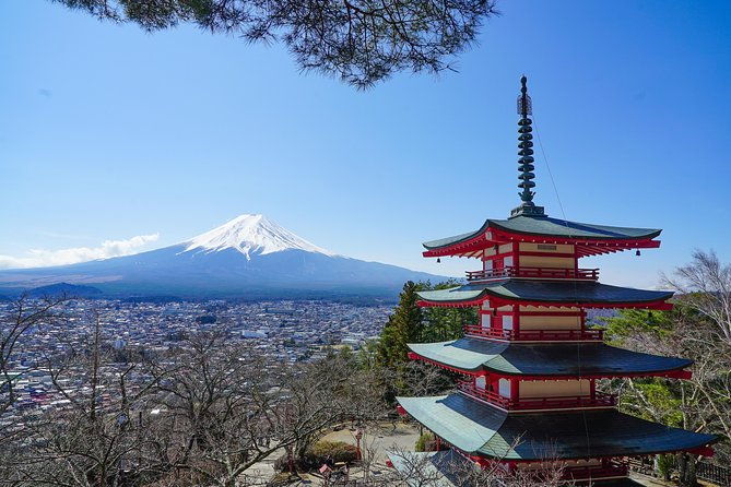mt-fuji-private-chartered-tour-with-nature-wasabi-farm