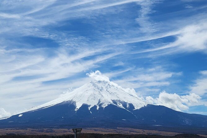 mt-fuji-private-day-tour-with-english-speaking-driver