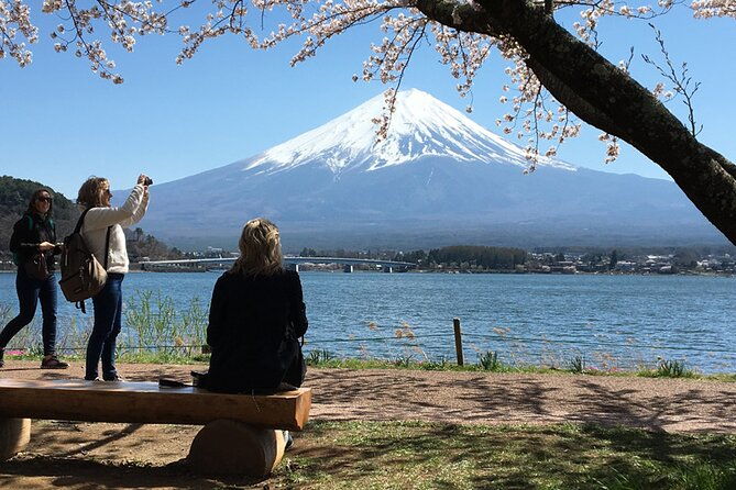 mt-fuji-private-sightseeing-day-trip-with-english-speaking-driver