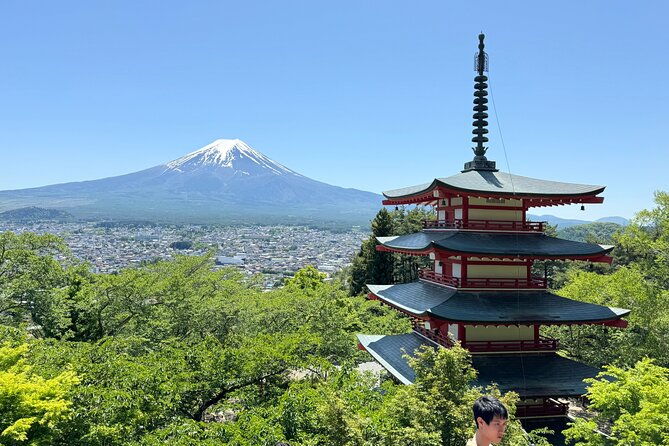 mt-fuji-private-sightseeing-tour-from-tokyo