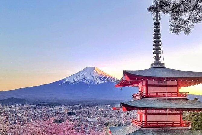 mt-fuji-private-trip-with-english-speaking-driver