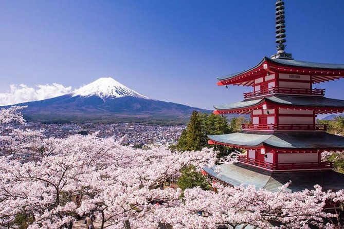 mt-fuji-view-and-2hours-free-time-at-gotemba-premium-outlets