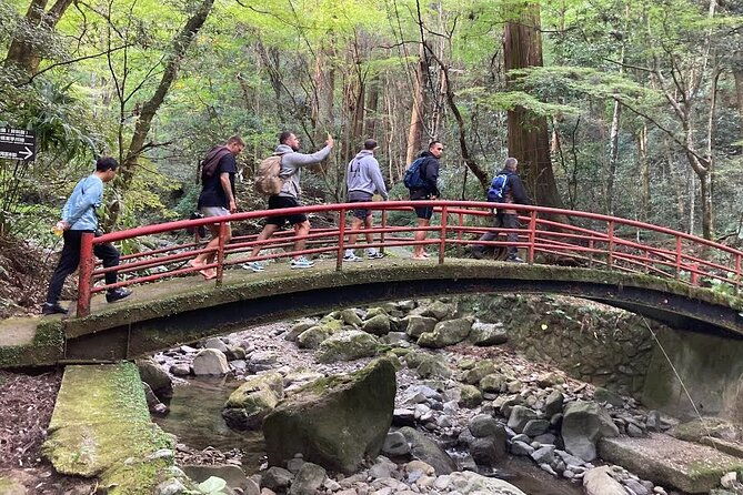 mt-inunaki-trekking-and-goma-prayer-experience-in-osaka
