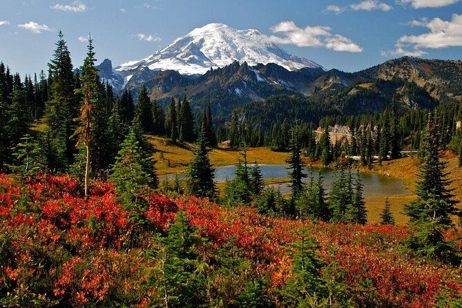 mt-rainier-day-tour-from-seattle