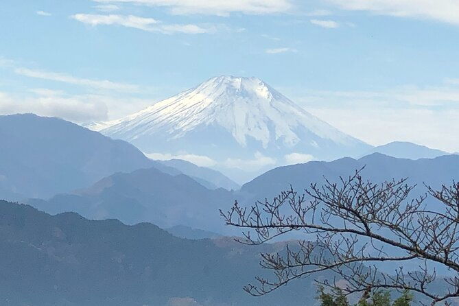 mt-takao-hiking-tour-with-licensed-guide