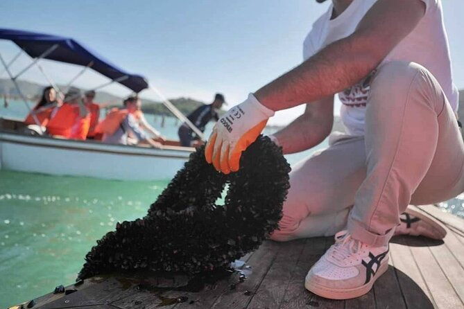 mussel-sailing-tour-with-food-and-drink-tasting-in-albania