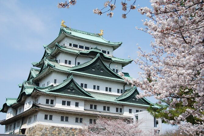 nagoya-castle-cherry-blossom-festival-and-tokugawaen-walking-tour