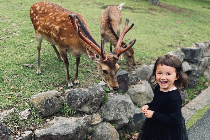 nara-adventure-todaiji-kasuga-shrine-nara-park-hozanji-temple