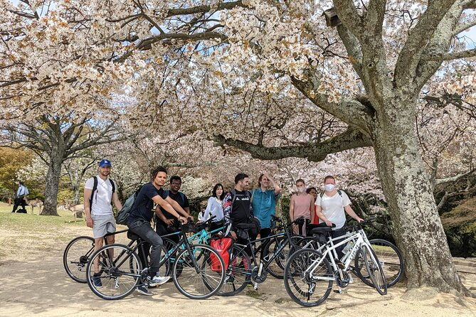 nara-heart-of-nature-bike-tour