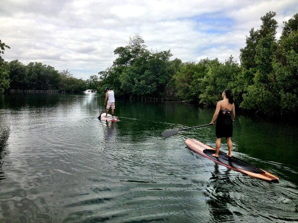 nature-stand-up-paddle-boarding-experience-in-miami