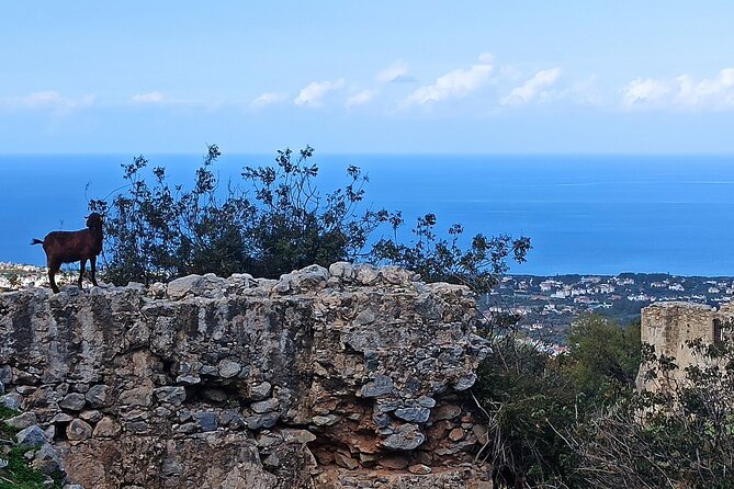 nature-walking-tour-in-the-mediterranean-cyprus-6days