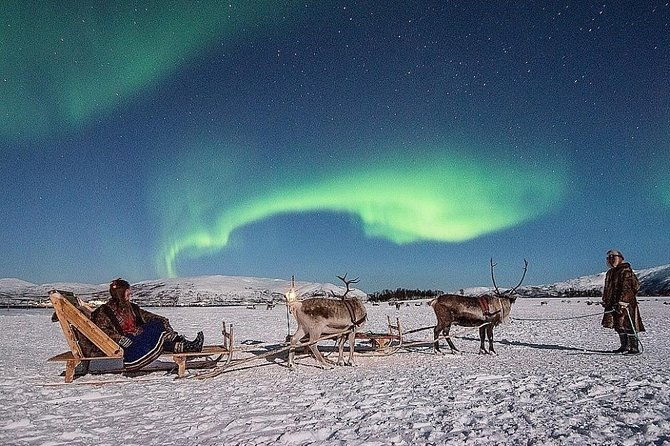 night-reindeer-sledding-with-camp-dinner-and-chance-of-northern-lights