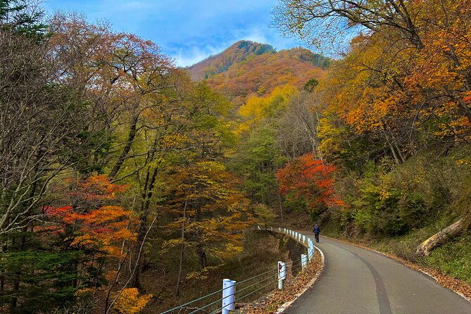 nikko-cycling-tour-with-local-guide