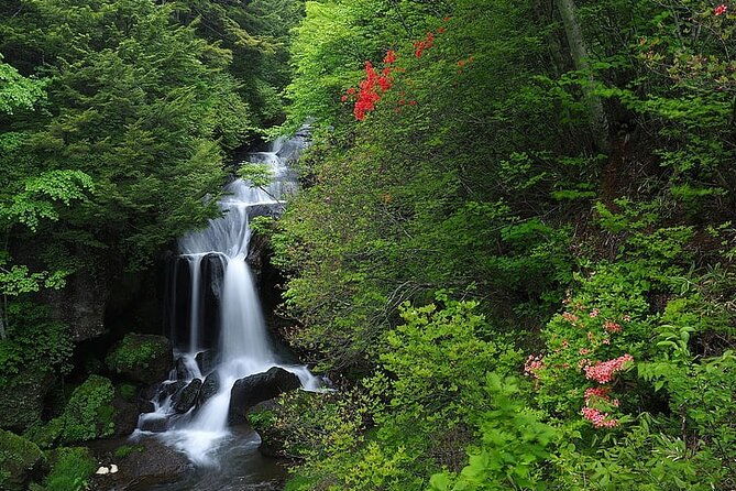 nikko-day-tour-private-with-english-speaking-driver