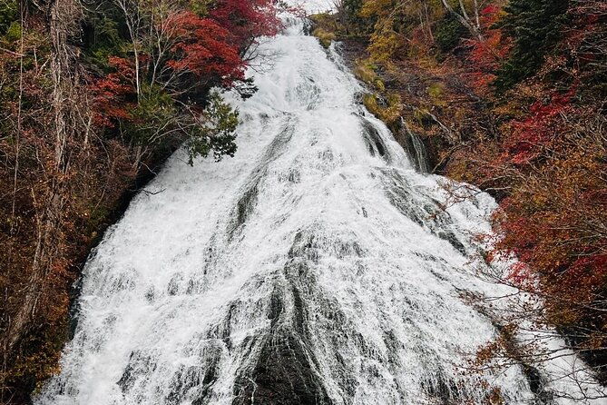 nikko-heritage-private-tour-with-english-guide-from-tokyo