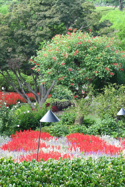 nokonoshima-island-park-garden-tour-wagyu-bbq-lunch
