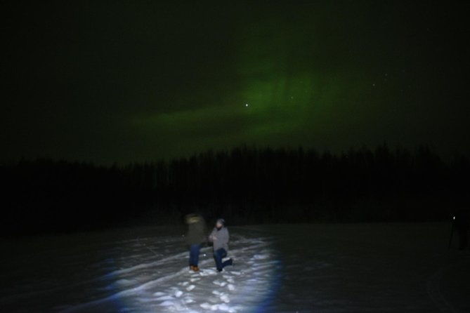 northern-lights-and-chena-hot-springs-tour-from-fairbanks