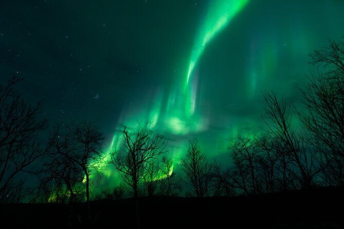 northern-lights-tour-from-kiruna-to-abisko-with-dinner
