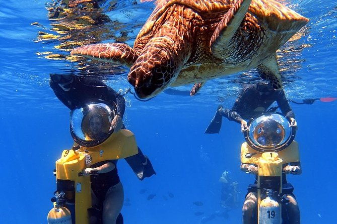 oahu-submarine-scooter-adventure
