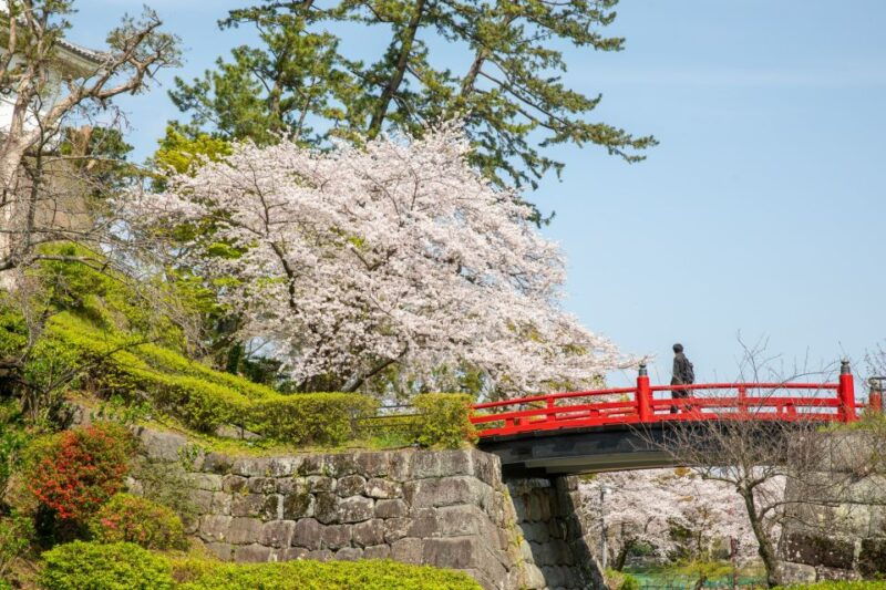 odawara-odawara-castle-tenshukaku-entrance-ticket