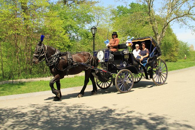 official-nyc-horse-carriage-rides-in-central-park-since-1979