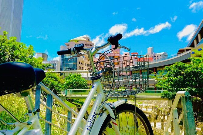 okinawa-e-bike-rental-citycycle-type