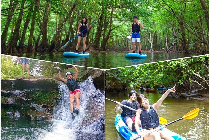 okinawa-iriomote-mangrove-sup-or-canoe-tour-and-splash-canyoning