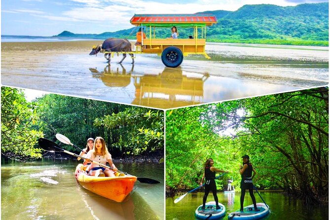 okinawa-iriomote-sup-or-canoe-and-sightseeing-in-yubujima-island