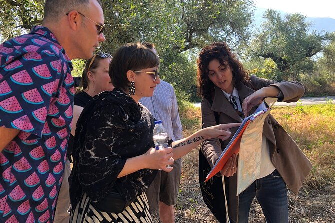 organic-olive-grove-tour-olive-oil-tasting-lunch-in-kalamata
