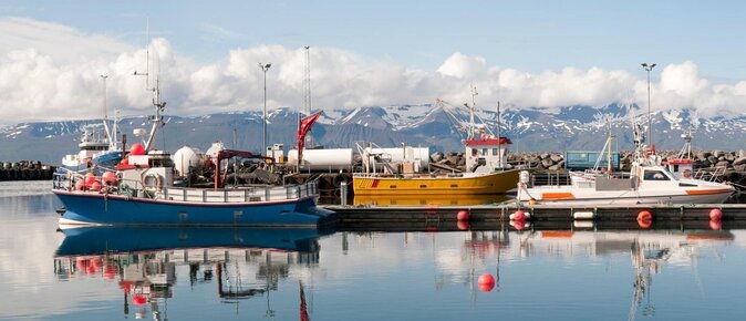 original-big-whale-safari-and-puffins-rib-boat-tour-from-husavik