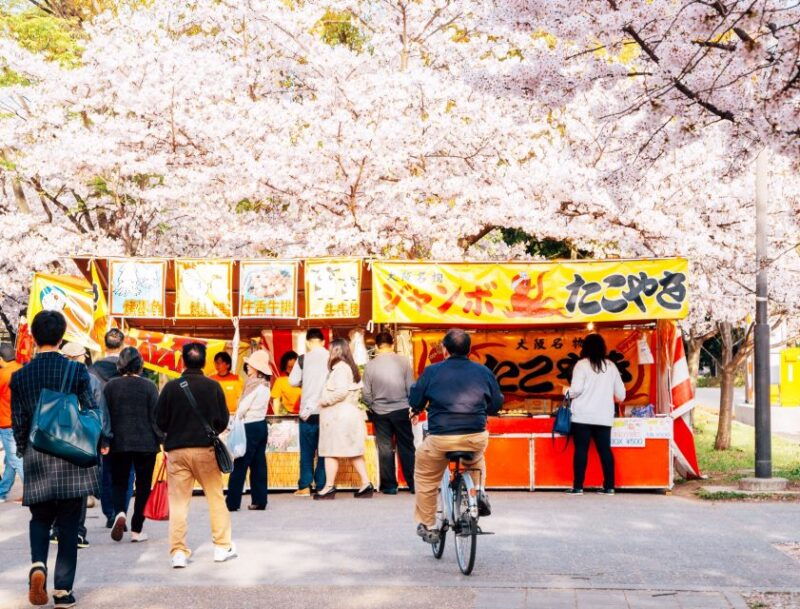 osaka-daytime-hanami-cherry-blossom-and-food-tour