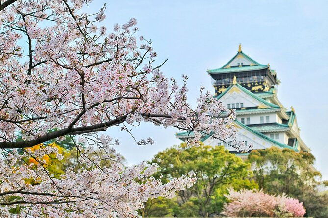 osaka-private-customizable-sightseeing-tour-with-chauffeur
