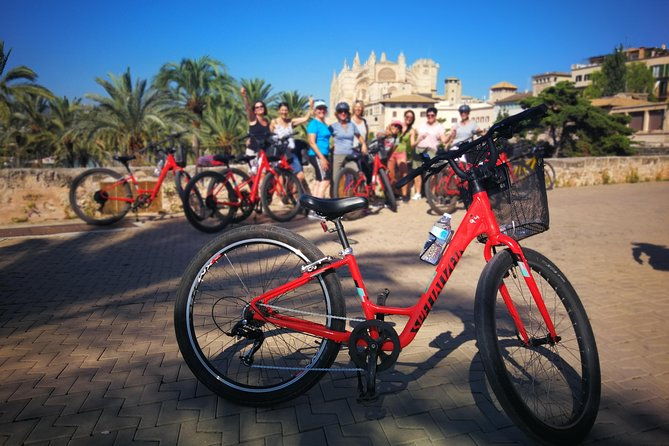 palma-de-mallorca-shore-excursion-bike-tour-with-cathedral-and-parc-de-la-mar