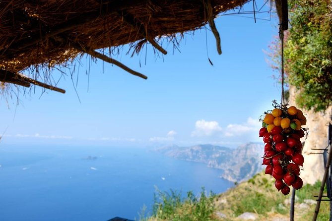 path-of-the-gods-day-guided-tour-with-free-transfer-from-sorrento