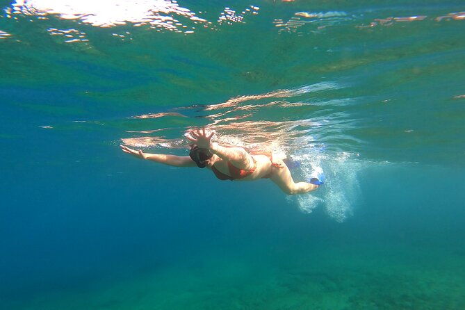private-1-hour-guided-snorkeling-adventure-with-go-pro-pictures