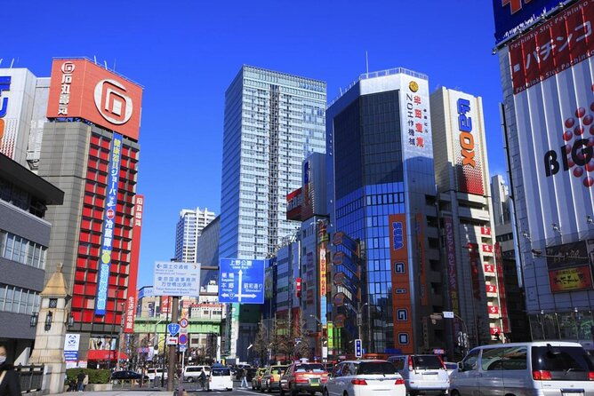 private-akihabara-shopping-tour
