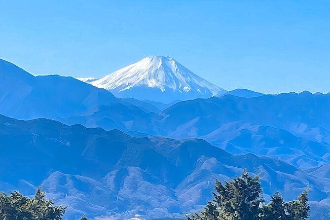 private-all-inclusive-family-tour-to-takao-mountain-with-prizes
