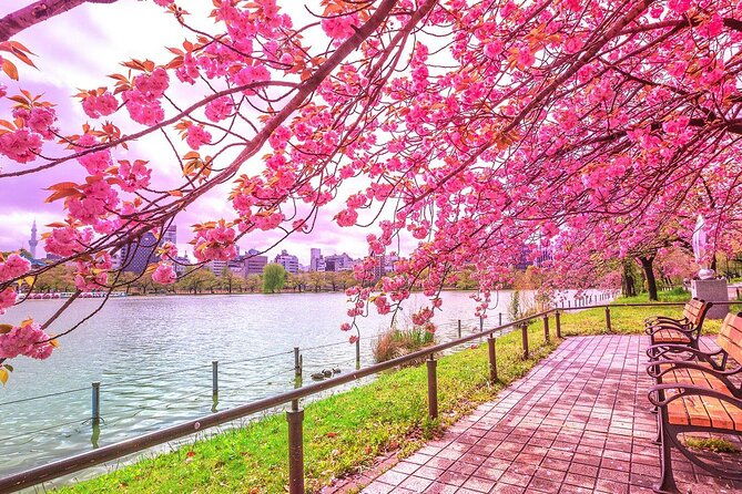 private-audio-guided-walking-tour-in-tokyo