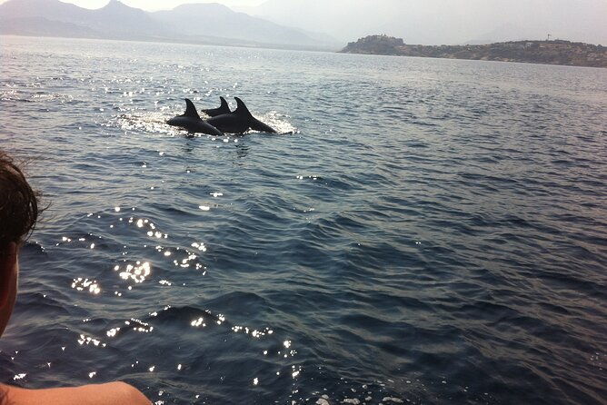 private-baptism-in-the-bay-of-calvi