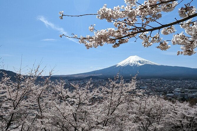 private-car-tour-to-mt-fuji-lake-kawaguchiko