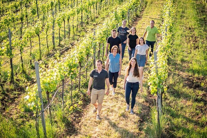 private-chianti-tour-and-wine-tasting